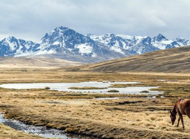 Caminita al Ausangate - 6 días - 12