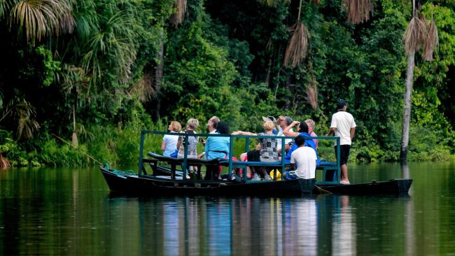 Tour Tambopata Lago Sandoval - 3 días