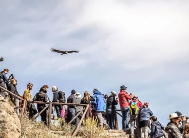 Tour Arequipa - Cañon del Colca - 2 días - 10