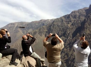 Tour Arequipa - Cañon del Colca - 2 días - 7